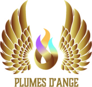 Plumes d’Ange Rognac, Pratiques énergétiques